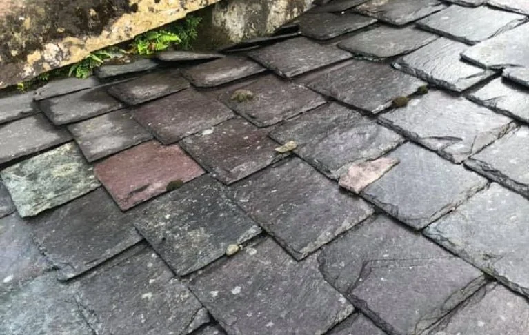 Slate Roof Requiring Repairs
